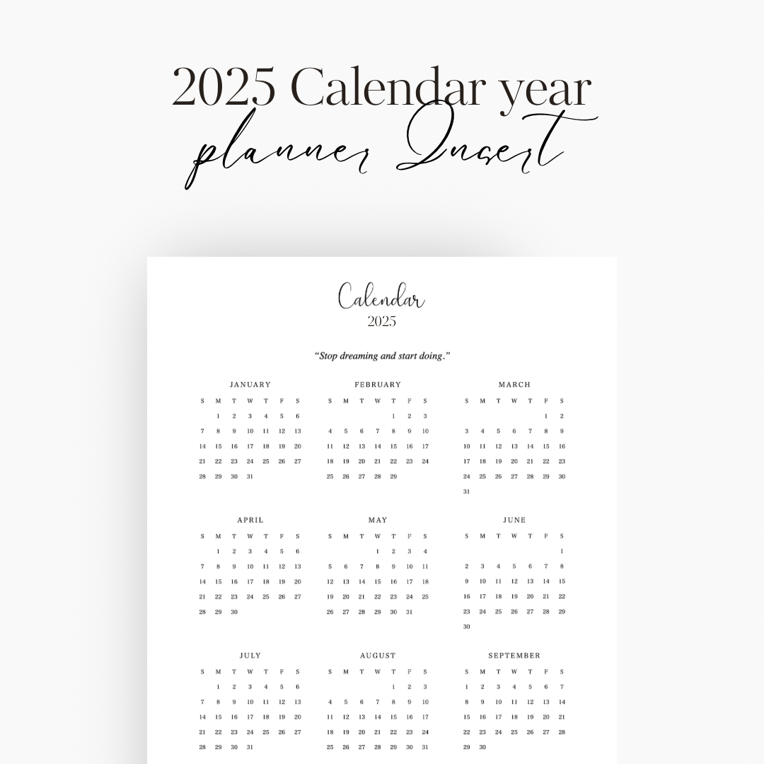 2025 Calendar year Planner Insert